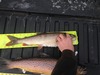 Lake thumb