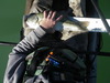 Imgp1998 thumb