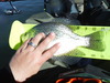 Dscf2385 thumb
