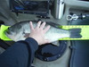 Dscf2339 thumb