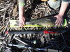 Dscf2369 thumb