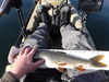 Dscf1229 thumb