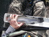 Imgp2064 thumb