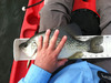 Mendo 022816 2 thumb