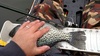 14.25 inch crappy thumb