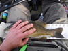 Dscf1152 thumb