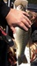 Clearlake 26 mar 2016 thumb