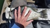 14 in. crappie thumb