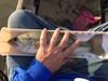 Modestoreservoir432016 1  thumb