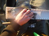 Dscf1169 thumb