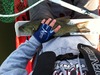 Mendo 050216 1 thumb