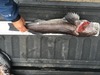 26.5 lng thumb