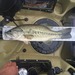 18.75lmb thumb