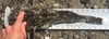 Cabezon thumb