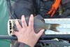 Aotysp12.75 thumb