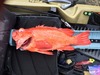 19.75red thumb