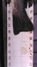 Kimg0018 thumb