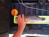 Dscf0808 thumb