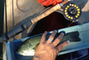 Port 13lmb 102016 thumb