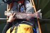 Salmon pos thumb