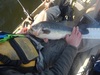Lmb thumb
