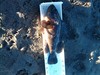 Img 20170128 165406 thumb