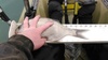 Kimg0154 thumb