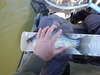 Cl 022617 1 thumb