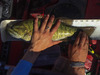 Fullsizerender 4 thumb