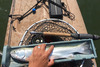 Berry19.25 rainbow trout thumb