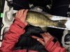 Aoty smallie 18 5 thumb