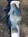 Fb img 1493314021682 thumb