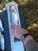 Img 20170507 173853 thumb