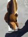 Greenling2 thumb