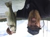 Aoty bass upgrage3 thumb