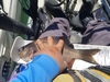 20170702 123844 thumb