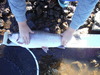 Dscf3468 thumb