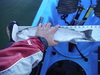 Dscf3461 thumb