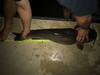 Catfish clear lake pb2 thumb
