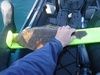 Flatfish3 thumb
