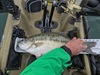 7lbspb thumb