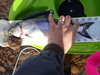 Pc300085 thumb