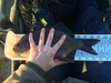 Fullsizeoutput aae thumb