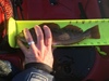 Fullsizeoutput 166d thumb