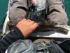 Be4be0c6 1791 4de0 bf43 9511af83503b thumb