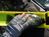 Crappie  10.75  4 27 18  n. melones thumb