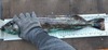 A1e46c12 a457 4092 a104 995298afe375 thumb