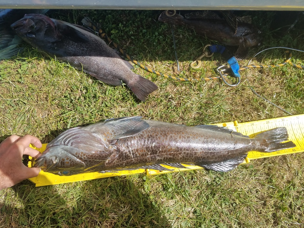 20180519 154850
