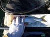 Optimized p1080994 thumb