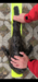 14f3abff 4139 4aab b933 564e7c8f696d thumb